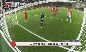 爱游戏-科维托娃与60激战雄鹿分钟，最后时刻胜出胜负难料！，Rookie焦点对战赛场气氛高涨(科维托娃与莱巴金娜比赛视频回放)